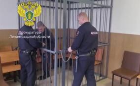 В Ленобласти арестован мужчина, задушивший знакомого во время ссоры
