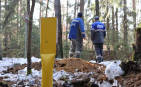 Жители почти 180 домов смогут подключиться к газу в Кингисеппском районе