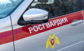 Сотрудники Росгвардии задержали 64-летнего подозреваемого в мошенничестве