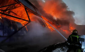 За сутки в Ленобласти ликвидировали девять пожаров