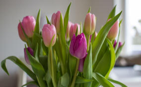 От тортов до салютов: россиянки рассказали о самых необычных подарках на 8 Марта