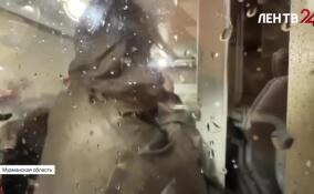 В Североморске бойцы Росгвардии учились спасать судно от затопления в аварийной ситуации