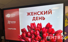 «Красота, здоровье и гвозди»: в Гатчине проходит необычный праздник для мам