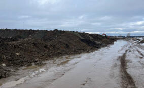 В Ломоносовском районе пресекли незаконный сброс отходов