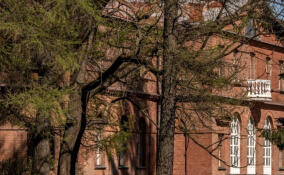 Усадьбу «Приютино» готовят к масштабной реставрации