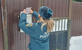 Жителям Волосово напомнили о правилах обращения с газом и электричеством