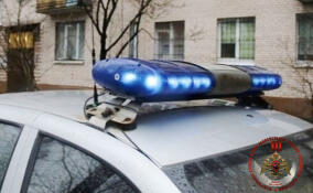 Росгвардейцы спасли пьяного мужчину от падения из окна в Петербурге