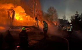 За сутки в Ленобласти потушили 12 пожаров: спасены два человека