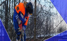 За неделю спасатели Ленобласти совершили 56 выездов