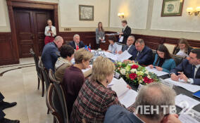 Ленинградское отделение ЕР обсудит выдвижение кандидатов на выборы в ЗакС