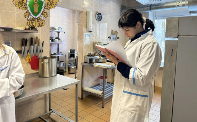 Прокуратура нашла нарушения в пищеблоках детсадов в Тосненском районе