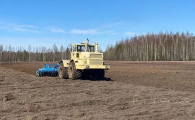 В Ленобласти на подготовку к посевной выделено 740 млн рублей