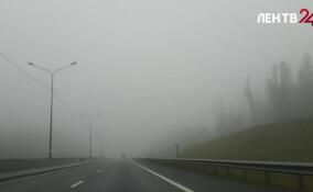Синоптики прогнозируют сильный туман в Ленобласти