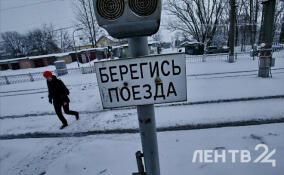 Электричка в Ленобласти сбила лося