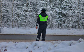 Экс-начальника отделения ГИБДД в Сосновом Бору обвиняют во взятках на 6,4 млн рублей