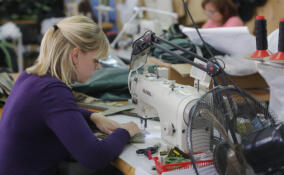 Ленобласть увеличила выпуск одежды по итогам 2025 года