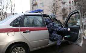 Застолье в квартире в Сестрорецке закончилось поножовщиной