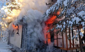 За сутки в Ленобласти ликвидированы семь пожаров и последствия пяти ДТП