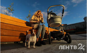 Сухо и до +10 градусов: о погоде в Ленобласти 11 марта