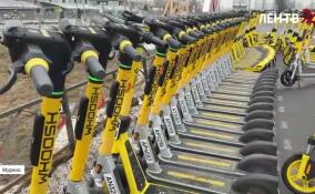 Электросамокаты заполонили улицы в городах Ленобласти после зимы. Не рано ли для поездки?