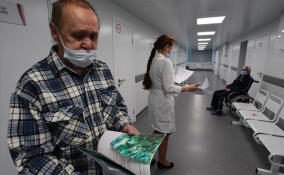 Заболеваемость ОРВИ в Ленобласти выросла более чем на 20% за неделю