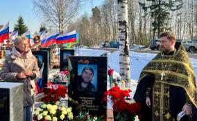 В Мурино почтили память участника СВО – Героя России