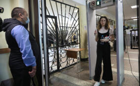 В Петербурге предложили сделать законным досмотр учеников на входе в школу