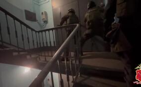 Полиция пресекла работу интернет-магазина по продаже метадона в Петербурге и Ленобласти