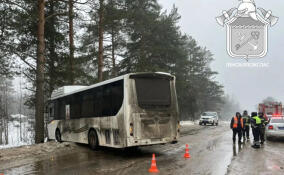 В поселке Важины рейсовый автобус выехал на обочину: пострадал кондуктор
