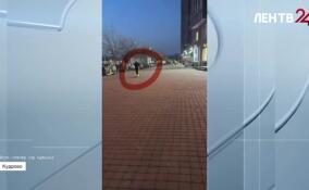 Владельцы моноколес открыли сезон