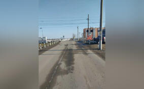 Прокуратура через суд заставила РЖД обезопасить железнодорожный переезд в Антропшино