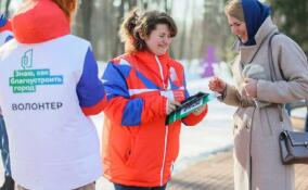 В Ленобласти набирают волонтеров благоустройства