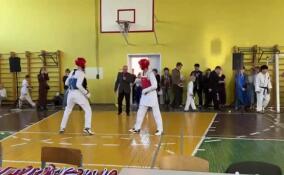 Спортивный фестиваль «В Единстве наша Сила» собрал во Всеволожске молодых спортсменов из Ленобласти