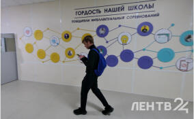 Школьники из Ленобласти поборются за победу на олимпиадах по экономике и испанскому языку