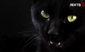 Стоит ли бояться пятницы, которая выпадает на 13-е число