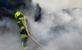 За сутки в Ленинградской области потушили 14 пожаров