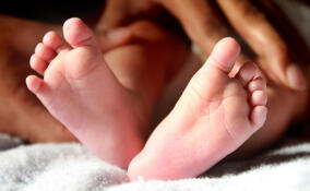 За десять лет в роддоме Волховской межрайонной больницы родились почти 6000 детей