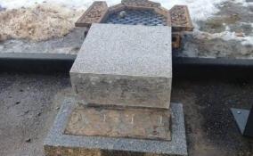 Хулиган в хоккейной форме разгромил скульптуру шмеля в Тихвине