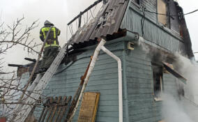 За сутки спасатели Ленобласти пришли на помощь 11 гражданам