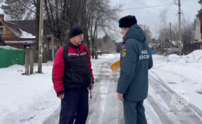 С огнем не шутят: инспектор МЧС провел рейд в частном секторе Луги