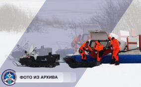 Компания из трех человек застряла на льду озера Вуокса