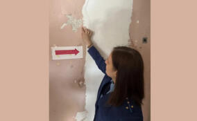 Прокуратура нашла нарушения в спортивных учреждениях Соснового Бора