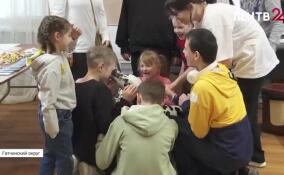 Собаки-терапевты приехали в гости к воспитанникам Сиверского ресурсного центра