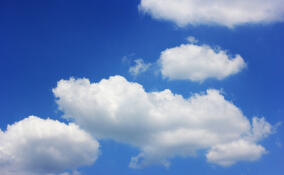 До -4 ночью и до +14 днем: прогноз погоды в Ленобласти на 17 марта