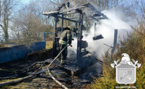 С потеплением в Ленобласти начались первые палы травы