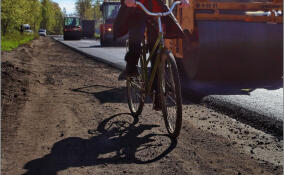 Жительница Гаврилово пожаловалась губернатору на проблемные дороги в посёлке