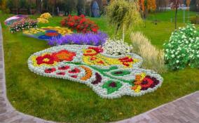 Петербург украсят тематические цветники, посвящённые Году единства народов России