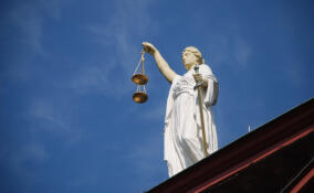 Жителя Луги будут судить за жестокое убийство собственной матери