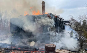 Пожар в частном доме под Гатчиной унес жизнь женщины