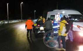 Спасатели и волонтеры искали потерявшегося мужчину в лесу у поселка Петровское